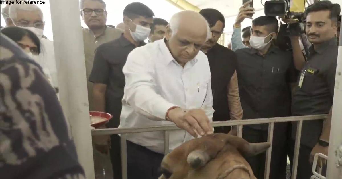 Bhupendra Patel visits lumpy virus vaccination centre as disease spreads out in Gujarat